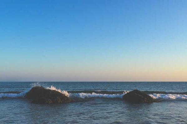 Understanding Your Farm's Data: A Look at Our Digital Reports